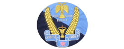 sainik-school-bijapur-logo