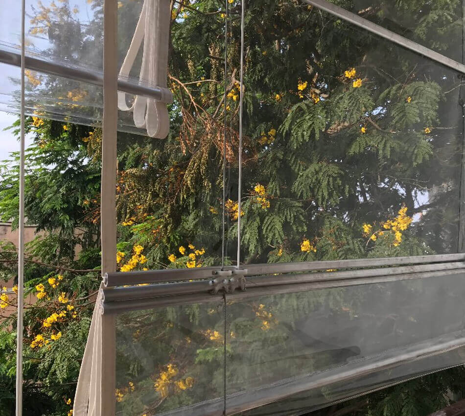 Transparent Monsoon Blinds